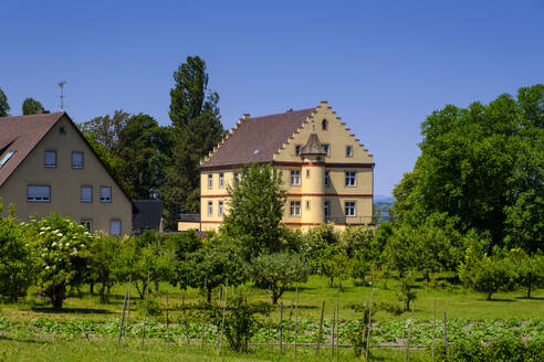 Deutschland, Baden-Württemberg, Niederzell, Grüne Bäume vor dem Schloss Windegg - LBF03857