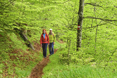 Mature woman and man hiking in forest - ANSF00628