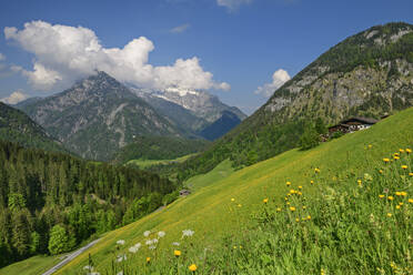 Gassi-Feld mit Berchtesgadener Bergketten unter bewölktem Himmel - ANSF00637