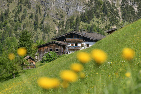 Bauernhaus mit Berchtesgadener Alpen an einem sonnigen Tag - ANSF00638