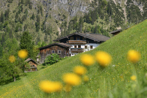 Farmhouse with Berchtesgaden alps on sunny day - ANSF00638