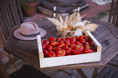 Kiste mit Tomaten mit Körnern neben Hut auf Tisch - PCLF00682