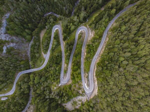 Kurvenreiche Straße inmitten von grünen Bäumen im Wald - DMHF00146