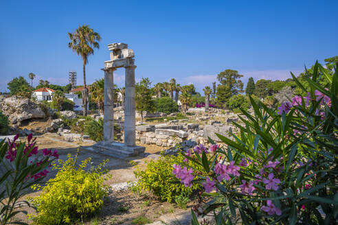 View of Ancient Agora, Kos Town, Kos, Dodecanese, Greek Islands, Greece, Europe - RHPLF27302