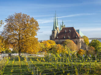 View of St. Severus' Church at Erfurt, the capital and largest city of the Central German state of Thuringia, Germany, Europe - RHPLF27325