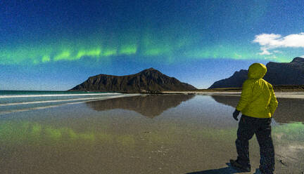 Lone hiker admiring mountains and cold arctic sea under the Aurora Borealis (Northern Lights), Skagsanden beach, Ramberg, Lofoten Islands, Nordland, Norway, Scandinavia, Europe - RHPLF27363