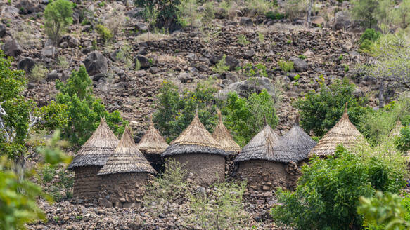 Traditional huts on the border of Nigeria, Northern Cameroon, Africa - RHPLF27404