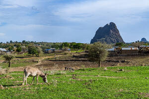 Dorf und Mondlandschaft, Rhumsiki, Mandara-Gebirge, Provinz Far North, Kamerun, Afrika - RHPLF27414