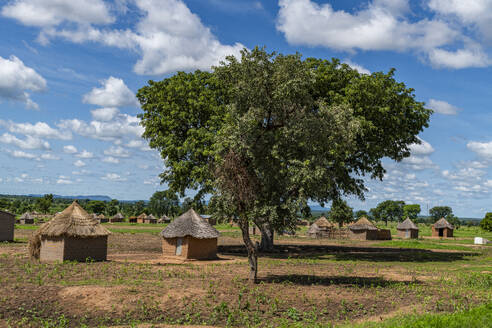 Traditional mud huts, Northern Cameroon, Africa - RHPLF27429