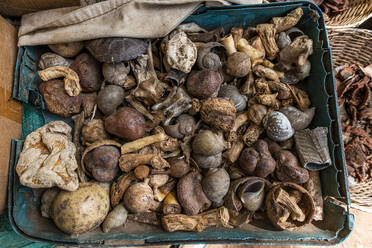 Local roots and leaves, traditional medicine market, Garoua, Northern Cameroon, Africa - RHPLF27431