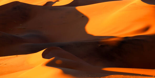 Sossusvlei, Namibia, Africa - RHPLF27506