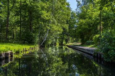 Water channel, UNESCO Biosphere Reserve, Spree Forest, Brandenburg, Germany, Europe - RHPLF27658