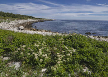 Rocky Coastline by the Atlantic Ocean, Dr. Bill Freedman Nature Preserve, Nature Conservancy of Canada, Nova Scotia, Canada, North America - RHPLF27694