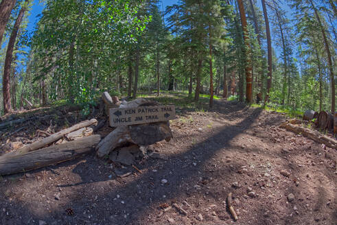 Die Wegkreuzung des Ken Patrick Trail und des Uncle Jim Trail am Grand Canyon North Rim, Grand Canyon National Park, UNESCO-Welterbe, Arizona, Vereinigte Staaten von Amerika, Nordamerika - RHPLF27712