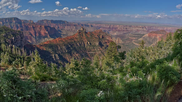 Blick auf den Brady Peak vom Picknickplatz Vista Encantada am Grand Canyon North Rim, Grand Canyon National Park, UNESCO-Weltkulturerbe, Arizona, Vereinigte Staaten von Amerika, Nordamerika - RHPLF27716