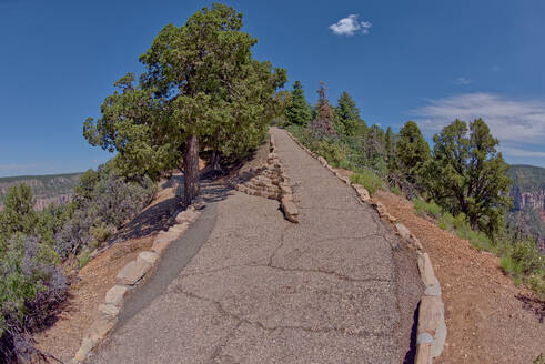 Die Kreuzung, an der der Transept Trail auf den Bright Angel Point Trail trifft, am North Rim des Grand Canyon, Grand Canyon National Park, UNESCO-Weltkulturerbe, Arizona, Vereinigte Staaten von Amerika, Nordamerika - RHPLF27739