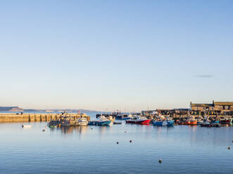 Moored boats in the evening, the Harbour, Lyme Regis, Dorset, England, United Kingdom, Europe - RHPLF27765