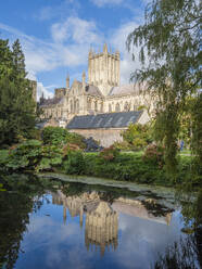 Reflection of the Cathedral in the Moat, The Bishop's Palace, Wells, Somerset, England, United Kingdom, Europe - RHPLF27788