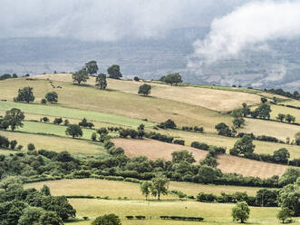 View of rolling countryside from Gospel Pass, Black Mountains, Brecon National Park (Bannau Brycheiniog), Wales, United Kingdom, Europe - RHPLF27792