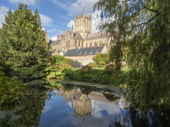 Reflection of the Cathedral in the Moat, The Bishop's Palace, Wells, Somerset, England, United Kingdom, Europe - RHPLF27795