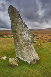 Scorhill Stone Circle, ancient stones in a prehistoric stone circle, on open moorland, Scorhill Down, near Chagford, Dartmoor National Park, Devon, England, United Kingdom, Europe - RHPLF27957