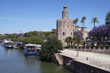 Torre del Oro, Seville, Andalusia, Spain, Europe - RHPLF28011