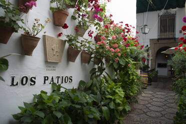 Los Patios, Cordoba, Andalusia, Spain, Europe - RHPLF28015