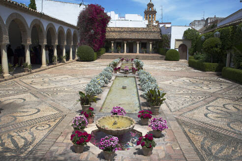 Palacio Viana, Cordoba, Andalusia, Spain, Europe - RHPLF28019