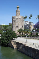 Torre del Oro, Seville, Andalusia, Spain, Europe - RHPLF28032