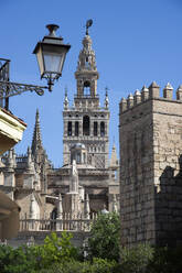 Cathedral, UNESCO World Heritage Site, Seville, Andalusia, Spain, Europe - RHPLF28034