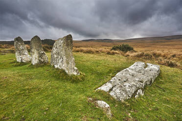 Scorhill Stone Circle, ancient stones in a prehistoric stone circle, on open moorland, Scorhill Down, near Chagford, Dartmoor National Park, Devon, England, United Kingdom, Europe - RHPLF28064