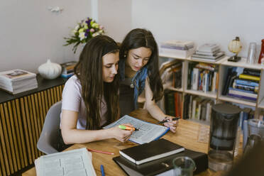 Junge Freundinnen studieren gemeinsam am Tisch - MASF38515