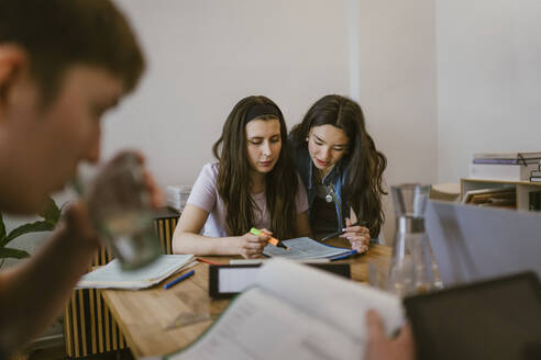 Young female friends reading while studying together at table - MASF38516