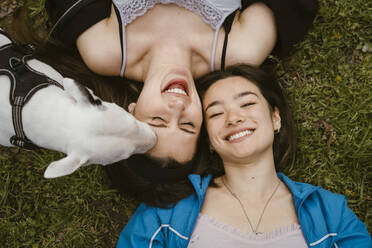 Directly above view of happy young women lying on grass with Bull Terrier - MASF38592