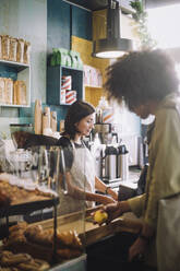 Young male customer shopping near saleswoman at checkout in convenience store - MASF38629