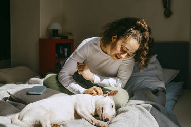 Young woman stroking dog lying on bed at home - MASF38800