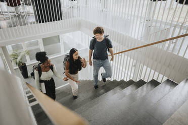 High angle view of multiracial male and female students moving up on steps in university - MASF39079