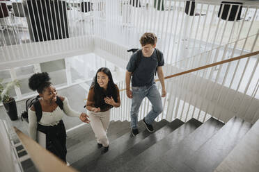 High angle view of happy multiracial students moving up on steps in university - MASF39080
