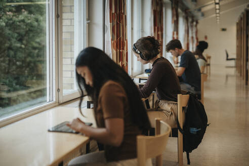Side view of young woman wearing headphones studying in library at university - MASF39084