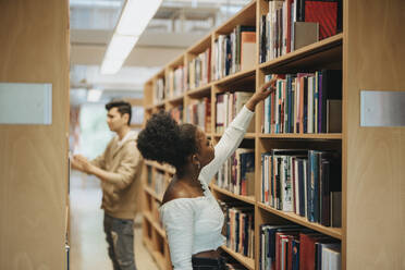 Side view of student searching books on bookshelf in library at university - MASF39097