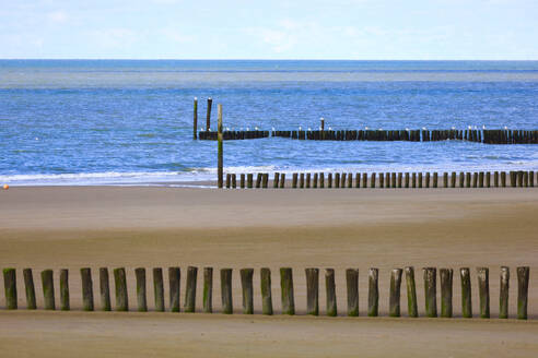 Groynes on North Sea coast - JTF02372