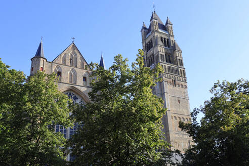 Belgium, West Flanders, Bruges, Saint Salvator's Cathedral with trees in foreground - JTF02375