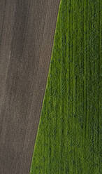 Österreich, Oberösterreich, Hausruckviertel, Drone view of green and plowed field - WWF06426