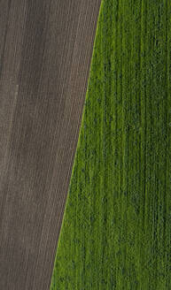 Österreich, Oberösterreich, Hausruckviertel, Drone view of green and plowed field - WWF06426