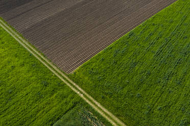 Austria, Upper Austria, Hausruckviertel, Drone view of green and plowed fields - WWF06429