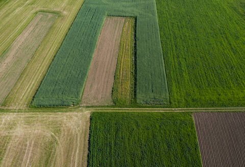 Austria, Upper Austria, Hausruckviertel, Drone view of green fields - WWF06430