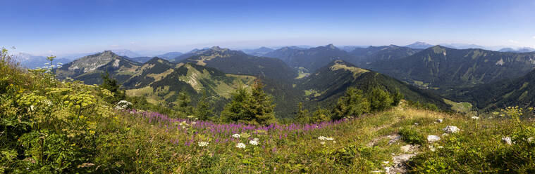 Österreich, Salzburger Land, Hintersee, Drohnenpanorama einer Bergwiese im Sommer - WWF06444