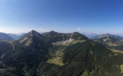 Österreich, Salzburger Land, Hintersee, Drohnenansicht eines bewaldeten Tals im Sommer - WWF06446