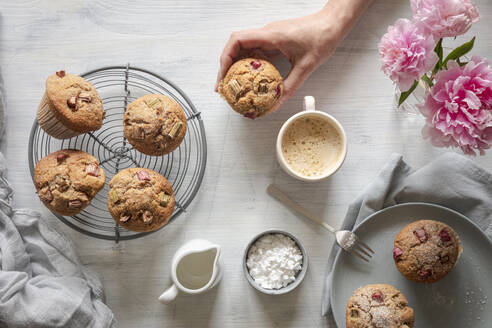 Hand einer Frau, die einen Rhabarber-Muffin aufhebt - EVGF04384