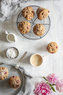 Tasse Kaffee und Rhabarbermuffins auf dem Kühlregal - EVGF04390